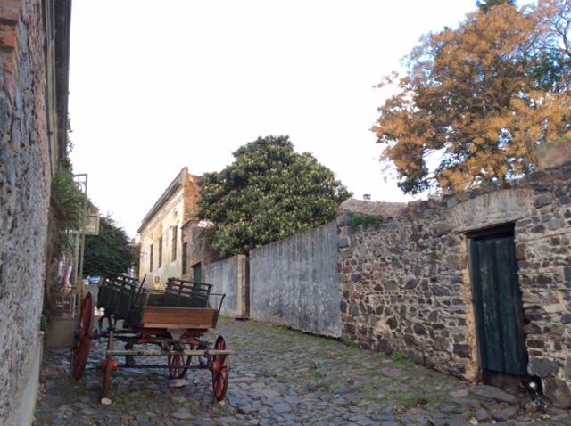 El Patio De Las Glicinas Colonia del Sacramento Ngoại thất bức ảnh